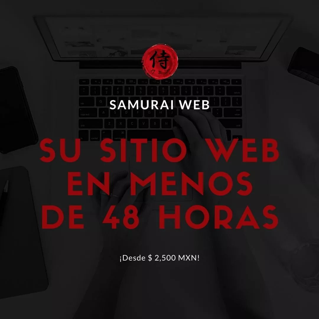 Su sitio web en 24 horas
